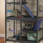 Las 6 Mejores jaulas para roedores 2023 - Comparativa